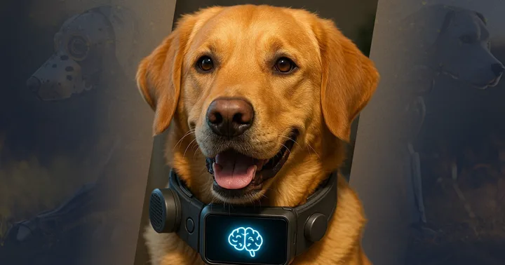Project illustration: Audio and motion for a pet wearable