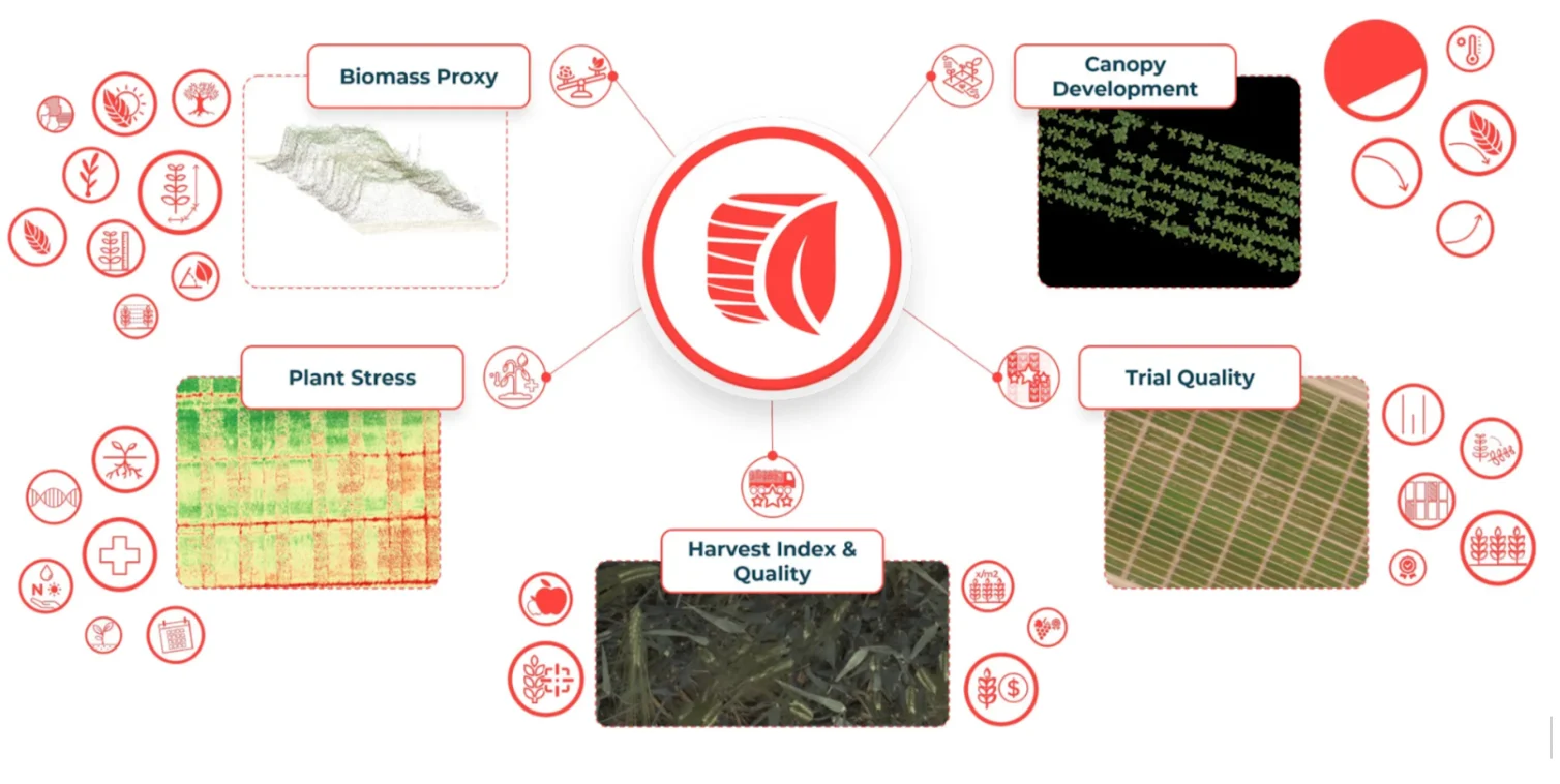 Hiphen Plant Phenotyping and Crop Image Analytics.png