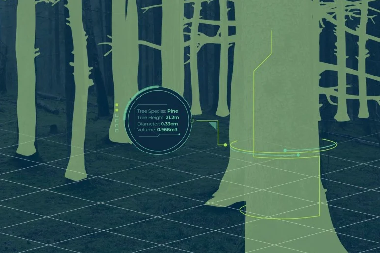 DeepForestry-ezgif.com-crop.png