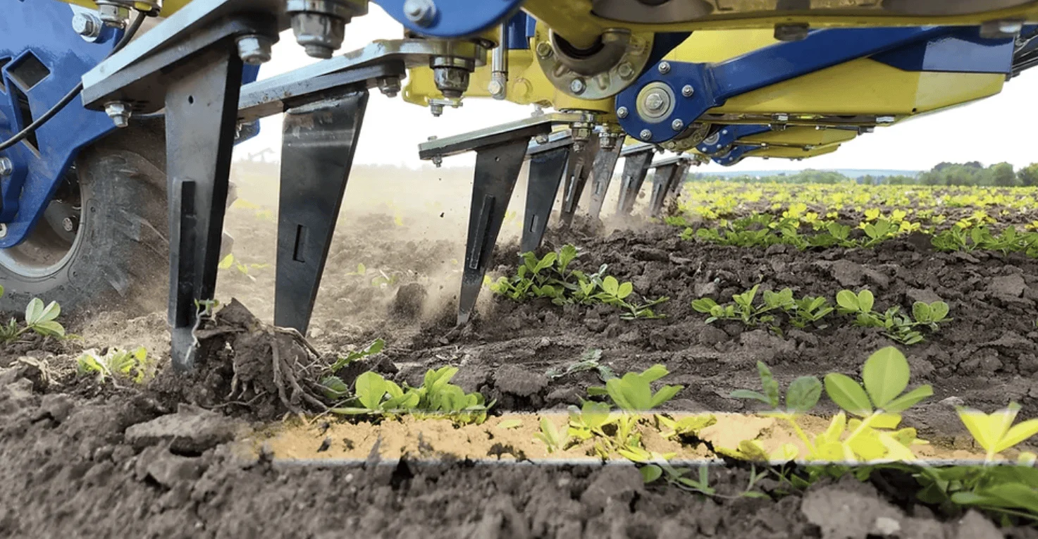 NEWMAN - Ullmanna’s In-Row Weeder.png
