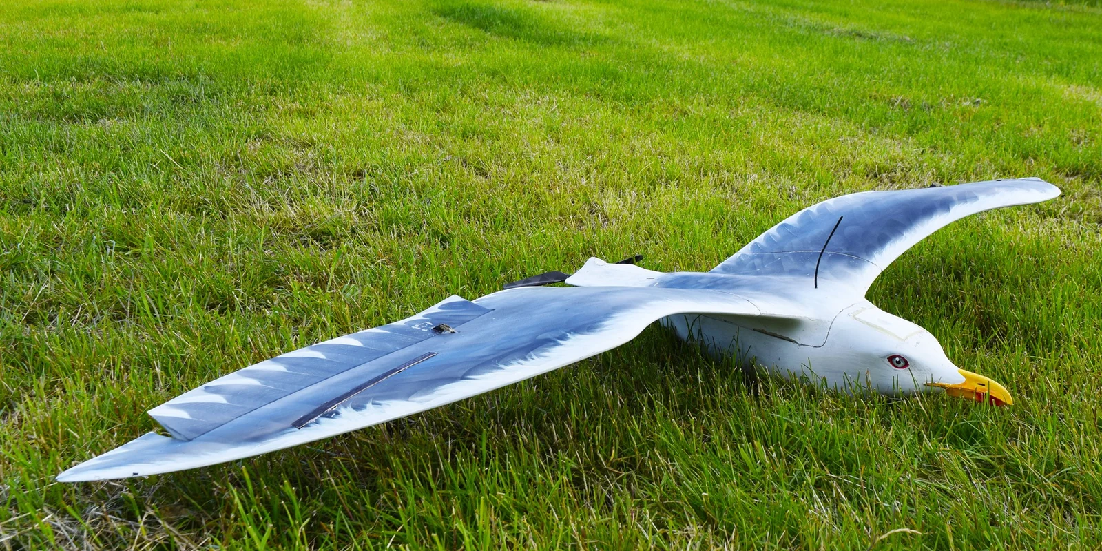 AVES Larus by Drone Bird Company.png